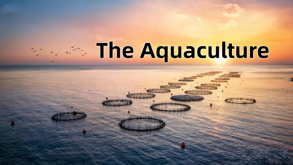 What Is Aquaculture？