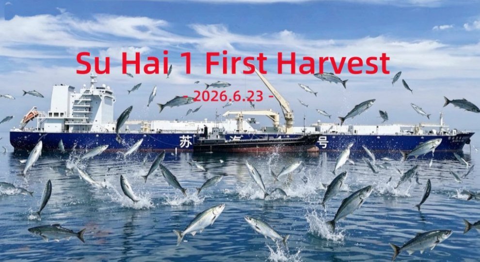 SU HAI 1 FIRST HARVEST 2026.6.23