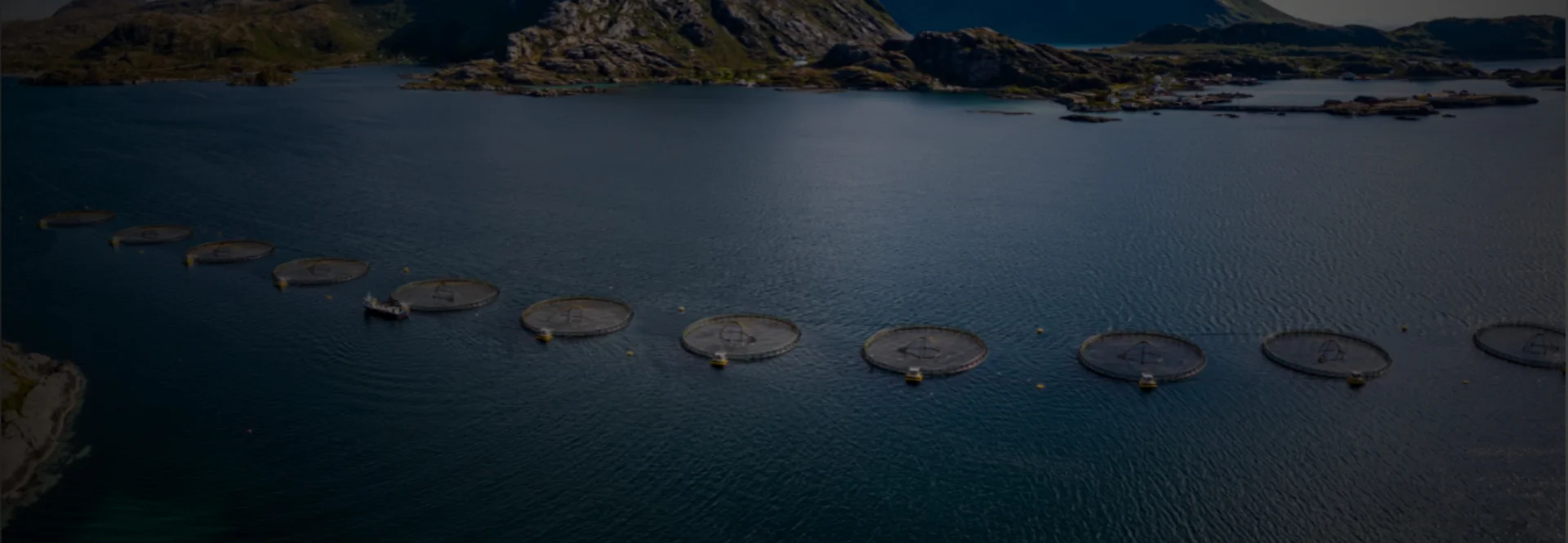 Aquaculture Mooring Chain
