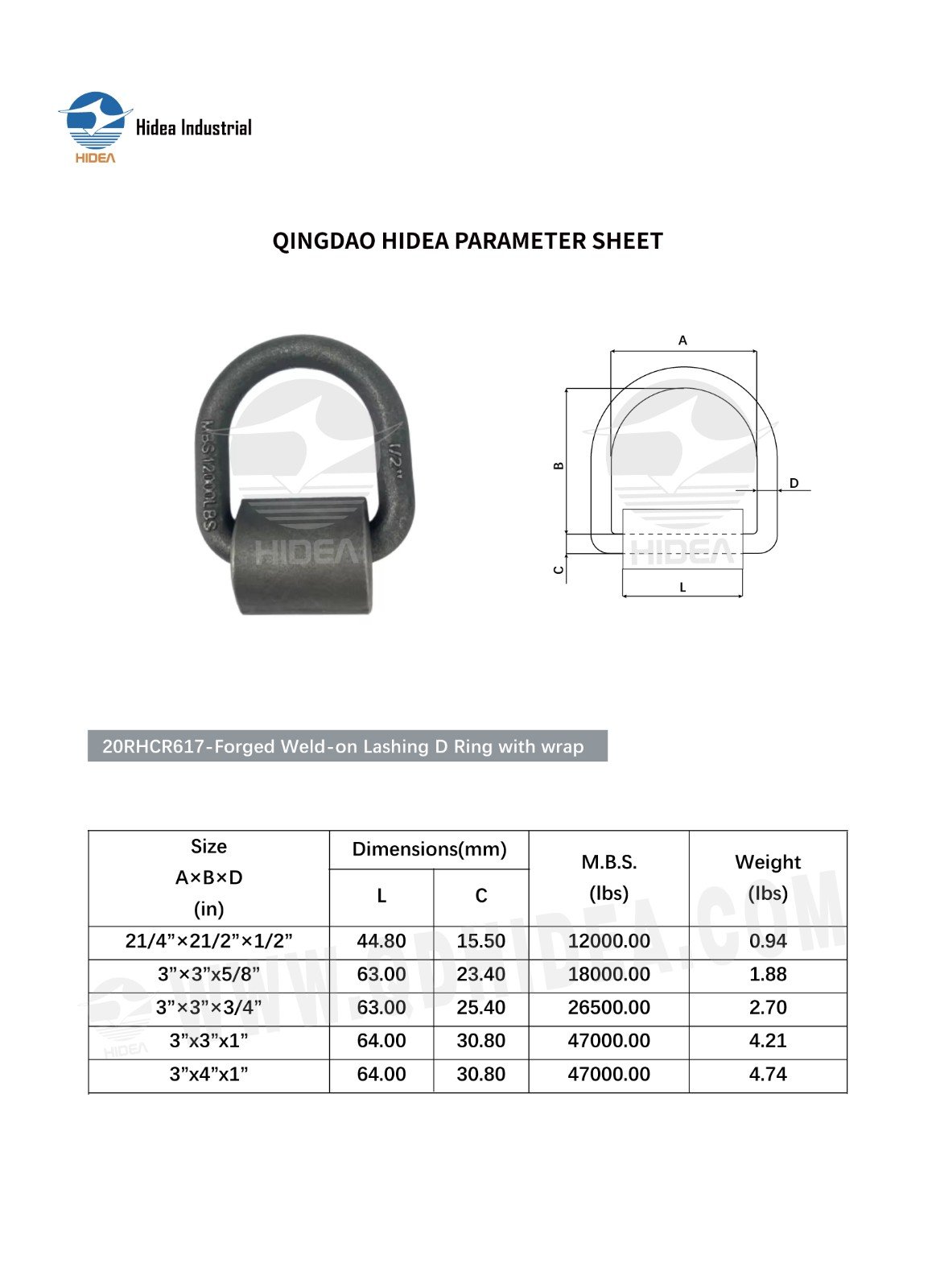 Lashing D-Ring with Wrap Specification