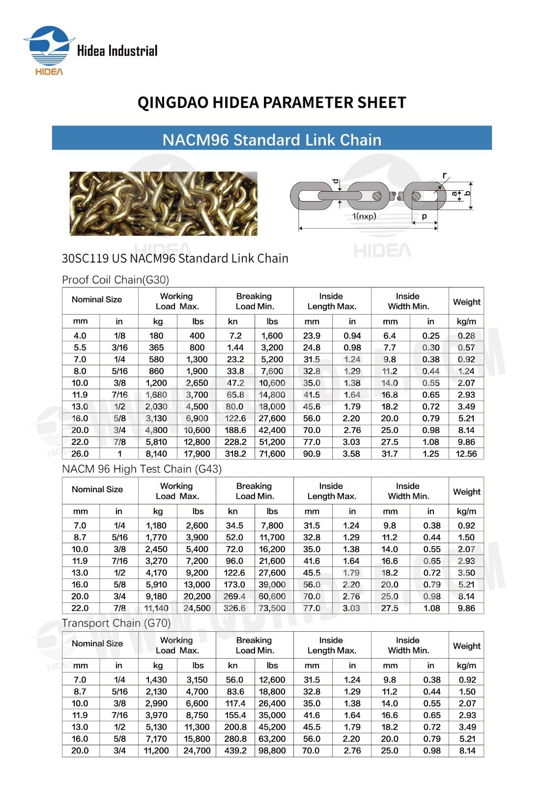 NACM96 Link Chain Specification