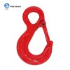 G80 EYE SLING HOOK WITH TRIANGLE EYE