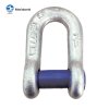 D SHACKLE WITH SUNKEN HEAD PIN