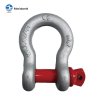 US TYPE G209 SCREW PIN ANCHOR SHACKLE