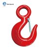 G43/70 US TYPE EYE HOIST HOOK WITH LATCH 320A/320C