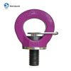 G80 EYE SCREW LIFTING POINT NEW TYPE