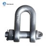 DIN82101 DEE SHACKLE TYPE C