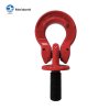 G80 LIFTING EYE SCREW WITH OMEGA LINK