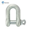 GRADE S6 SCREW PIN DEE SHACKLE AS2741