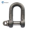 LARGE DEE BS3032 SHACKLE