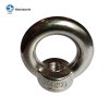 DIN582 EYE NUT