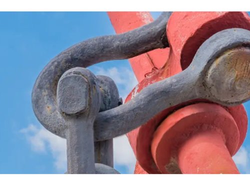 Shackles 101: The Hidden Costs of "Budget" Rigging Hardware