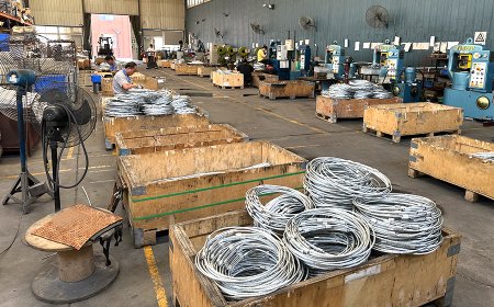 -2_0001_1ec7df90f15f5c89946156fc07d78d4