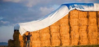 What is the density of tarpaulin?