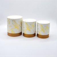 _0246_JY-0085-PT2