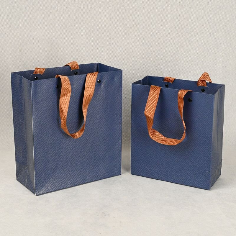 Disposable Paper Bag