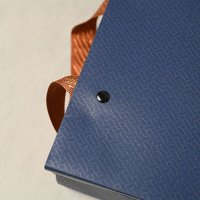 Disposable Paper Bag