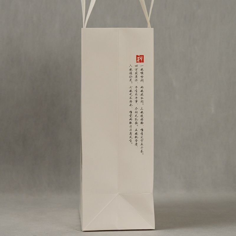 ECO Friendly Custom Logo Paper Bag