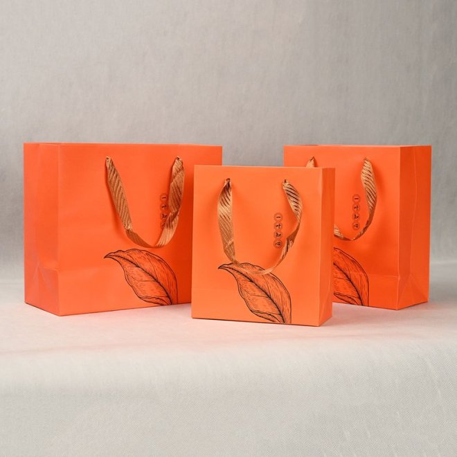 Luxury Paper Bag With Ribbon Handles