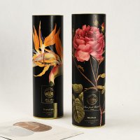 JY-0025-PT1-TL