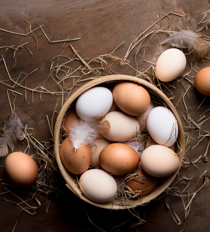 نظام إنتاج أقفاص الدجاج