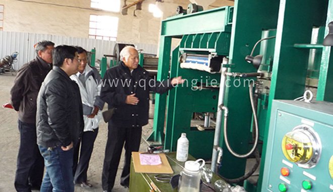 Maintenance and maintenance of sealing rings