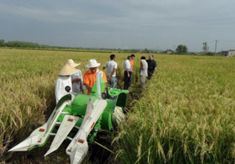 La mecanización agrícola de China promueve un rápido desarrollo