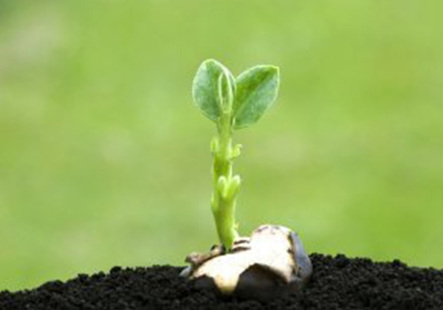 Basado en el desarrollo de la agricultura moderna