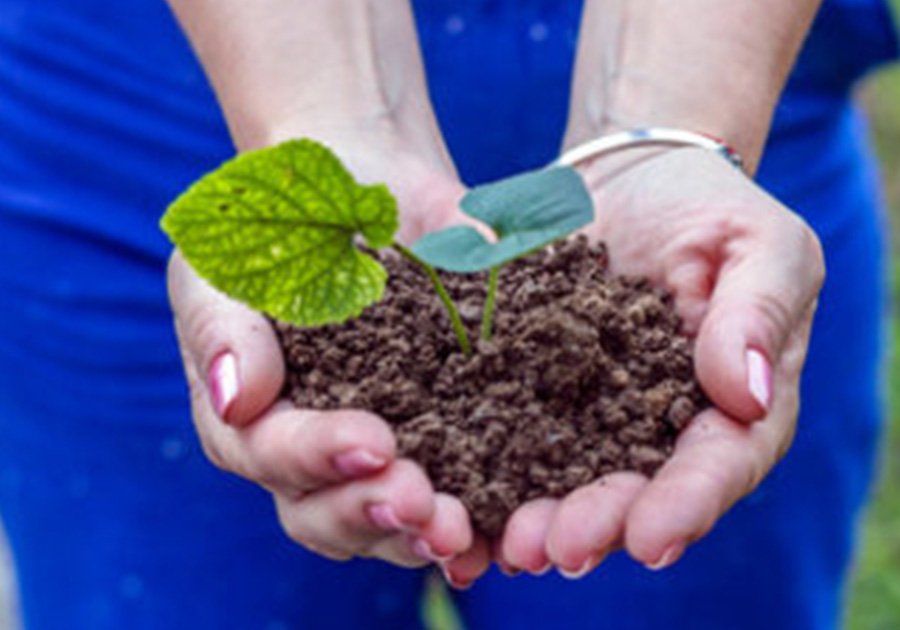 Ministerio de Agricultura y Asuntos Rurales: implementará tres medidas para impulsar la transformación del sistema alimentario y agrícola