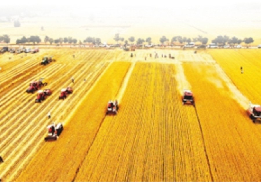 Clasificación de cosechadoras