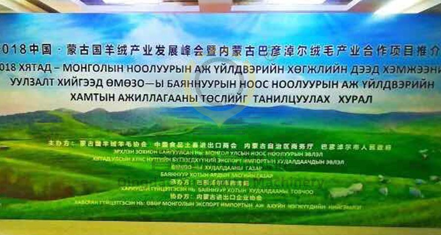 La Cumbre de Desarrollo de la Industria de Cachemira de China y Mongolia 2018 se celebró en Bayannaoer