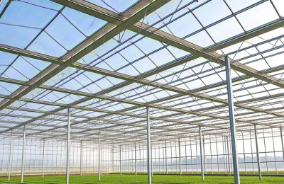 Steel structure vegetable agricultural greenhouse