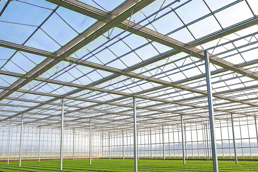 Steel structure vegetable agricultural greenhouse