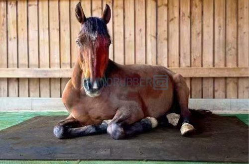 Horse Stall Mat