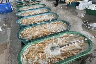 -2_0005_2b1f8fb55767acd6239b43a2c6140d4