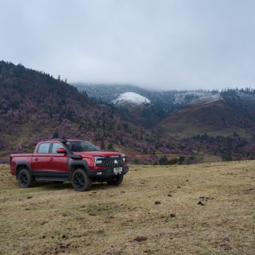 Revealed! Reasons to choose SINOTRUK BOLDEN pickup