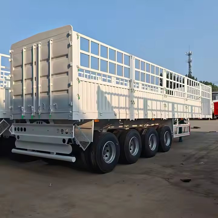 微信图片_20241118163824