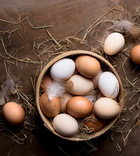 Egg and poultry production system 6