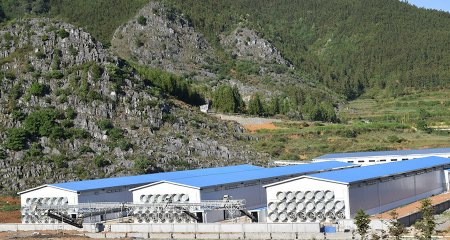 Innovative Livestock Machinery Co. Unveils Revolutionary Automated Feeding System to Enhance Efficiency and Animal Welfare