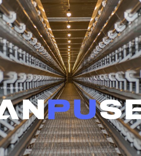 Modern Automatic Broiler Chicken Farming Equipment H Type Poultry Broiler Cage for Nigeria