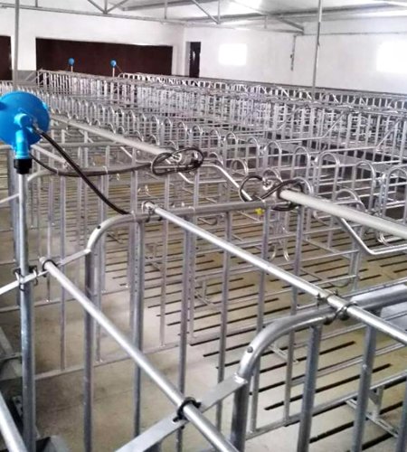 Pig Raising Limit Column