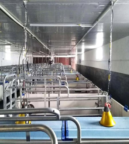 Pig Farm Equipment Stall System Farrowing Crate Pig Farrowing Pen for Sale