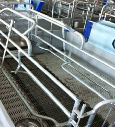 Pig Production Bed