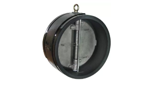 Product Introduction：Dual Disc Check Valve
