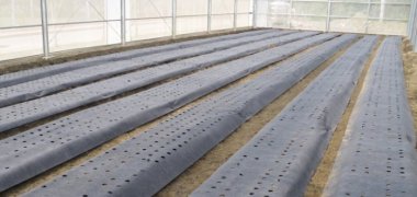 The ground cover of using grass cloth in the greenhouse