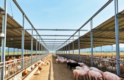 Steel structure poultry farm