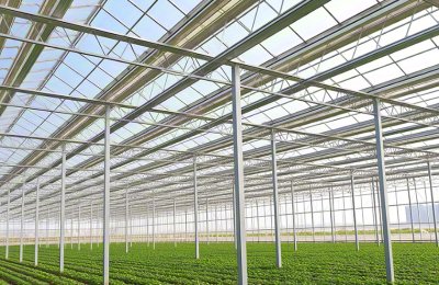 Steel structure vegetable agricultural greenhouse