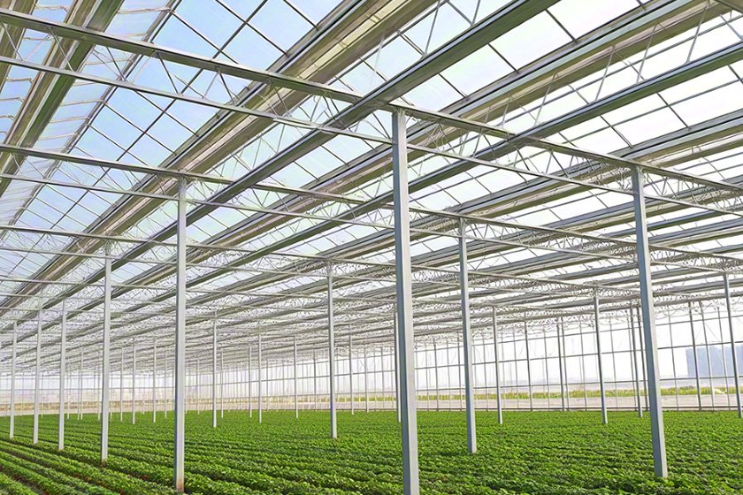 Steel structure vegetable agricultural greenhouse