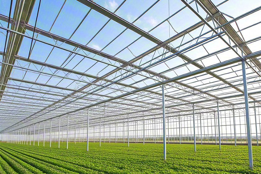 Steel structure vegetable agricultural greenhouse