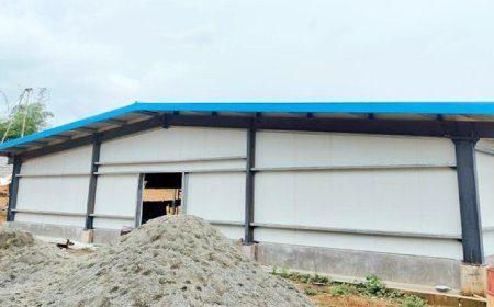 Broiler Chicken House--In Philippines